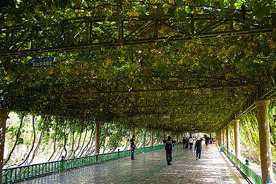 PS5 Pro推出时 将有40-50款游戏为针对性增强